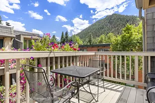 731 E Durant Ave, Aspen, CO 81611 - Photo 22