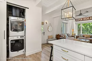 731 E Durant Ave, Aspen, CO 81611 - Photo 12