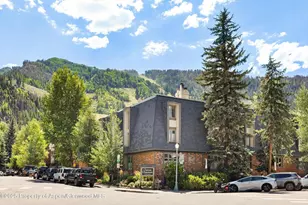 731 E Durant Ave, Aspen, CO 81611 - Photo 24