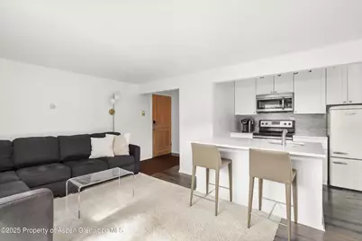119 E Cooper Avenue #25, Aspen, CO 81611 - Photo 4