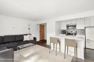 119 E Cooper Ave, Aspen, CO 81611 - Photo 4
