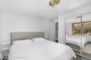 119 E Cooper Ave, Aspen, CO 81611 - Photo 10