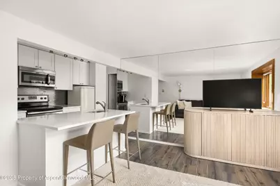 119 E Cooper Avenue #25, Aspen, CO 81611 - Photo 4