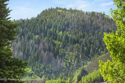 119 E Cooper Avenue #25, Aspen, CO 81611 - Photo 12