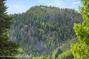 119 E Cooper Ave, Aspen, CO 81611 - Photo 12