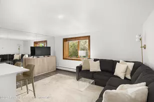 119 E Cooper Ave, Aspen, CO 81611 - Photo 2