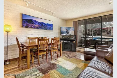313 Vine Street #313, Aspen, CO 81611 - Photo 2