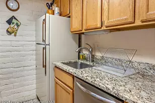 313 Vine St, Aspen, CO 81611 - Photo 10