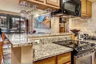 313 Vine St, Aspen, CO 81611 - Photo 8