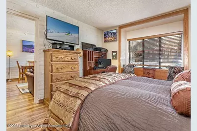 313 Vine Street #313, Aspen, CO 81611 - Photo 16