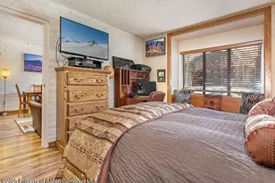 313 Vine St, Aspen, CO 81611 - Photo 16