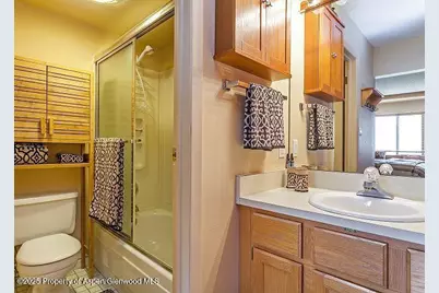 313 Vine Street #313, Aspen, CO 81611 - Photo 14