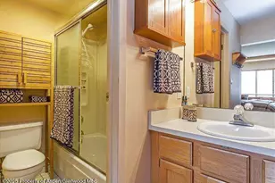 313 Vine St, Aspen, CO 81611 - Photo 14