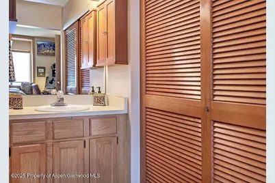 313 Vine Street #313, Aspen, CO 81611 - Photo 18
