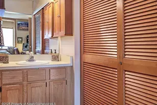 313 Vine St, Aspen, CO 81611 - Photo 18