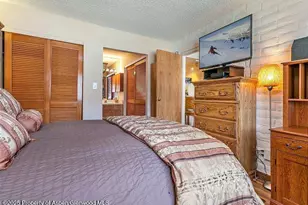 313 Vine St, Aspen, CO 81611 - Photo 20
