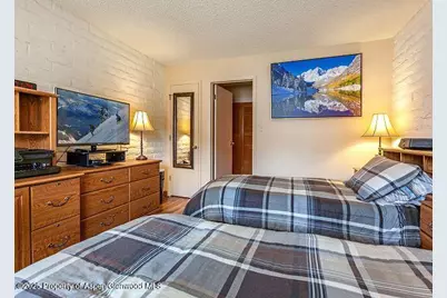 313 Vine Street #313, Aspen, CO 81611 - Photo 12