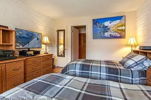 313 Vine St, Aspen, CO 81611 - Photo 12