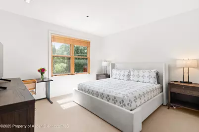 227 Midland Avenue #24, Basalt, CO 81621 - Photo 4