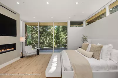 219 W Bleeker Street, Aspen, CO 81611 - Photo 18