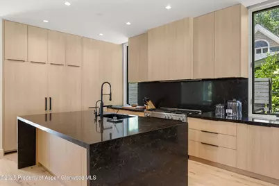 219 W Bleeker Street, Aspen, CO 81611 - Photo 12