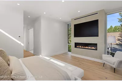 219 W Bleeker Street, Aspen, CO 81611 - Photo 20