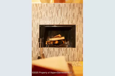 1039 E Cooper Avenue #16A, Aspen, CO 81611 - Photo 10