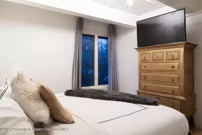 1039 E Cooper Avenue #16A, Aspen, CO 81611 - Photo 18