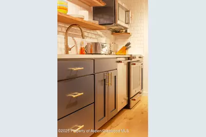 1039 E Cooper Avenue #16A, Aspen, CO 81611 - Photo 8
