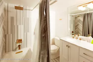 1039 E Cooper Ave, Aspen, CO 81611 - Photo 26