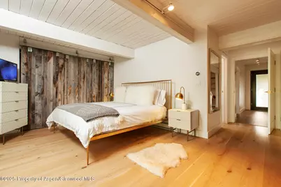 1039 E Cooper Avenue #16A, Aspen, CO 81611 - Photo 12