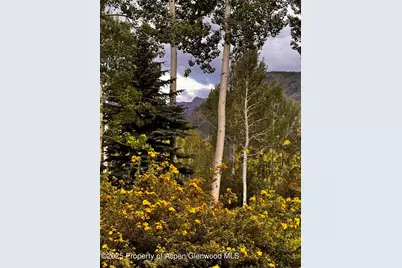 531 Moore Drive, Aspen, CO 81611 - Photo 24