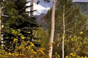 531 Moore Dr, Aspen, CO 81611 - Photo 24