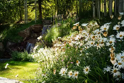 531 Moore Drive, Aspen, CO 81611 - Photo 22