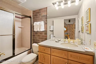 625 S West End Street #Unit 12, Aspen, CO 81611 - Photo 10