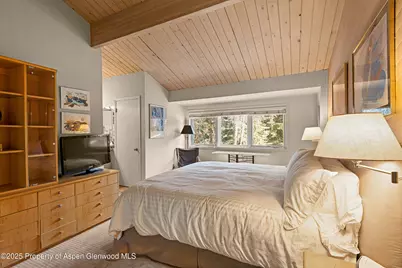 625 S West End Street #Unit 12, Aspen, CO 81611 - Photo 12