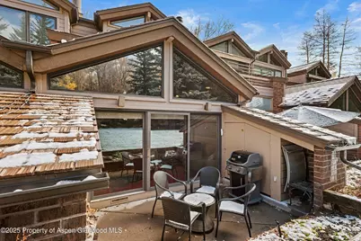 625 S West End Street #Unit 12, Aspen, CO 81611 - Photo 16