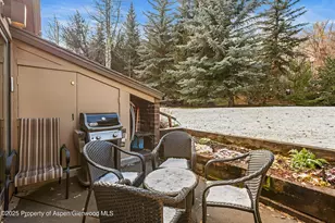 625 S W End St, Aspen, CO 81611 - Photo 14