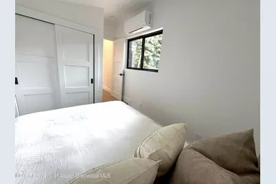 548.5 Spruce Street, Aspen, CO 81611 - Photo 14