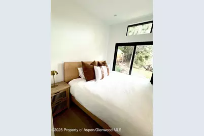 548.5 Spruce Street, Aspen, CO 81611 - Photo 10