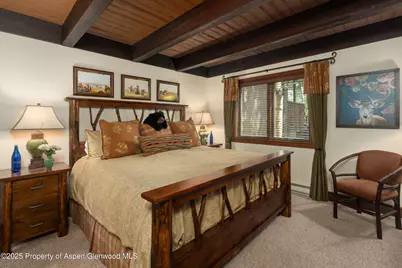 229 Faraway Road #28, Snowmass Village, CO 81615 - Photo 12