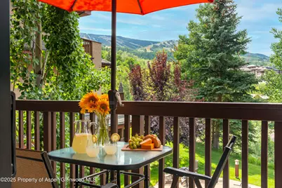 229 Faraway Road #28, Snowmass Village, CO 81615 - Photo 16