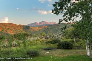 225 Solar Way, Aspen, CO 81611 - Photo 50