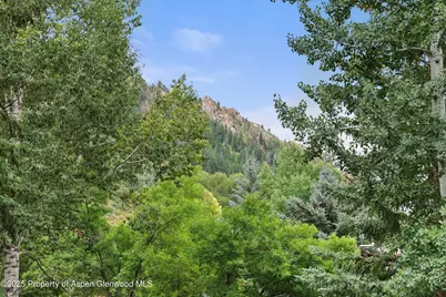 738 S Galena Street #1-C, Aspen, CO 81611 - Photo 2