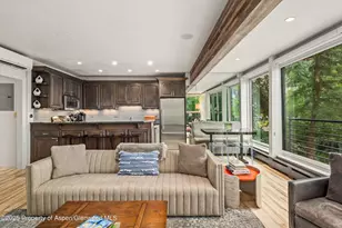 738 S Galena St, Aspen, CO 81611 - Photo 8