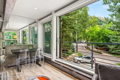 738 S Galena Street #1-C, Aspen, CO 81611 - Photo 12