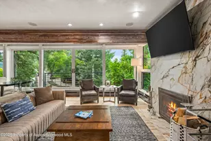 738 S Galena St, Aspen, CO 81611 - Photo 6