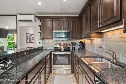 738 S Galena Street #1-C, Aspen, CO 81611 - Photo 10