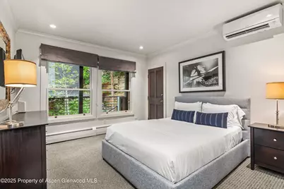 738 S Galena Street #1-C, Aspen, CO 81611 - Photo 16