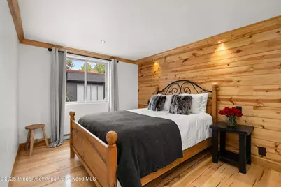 914 Waters Avenue #20, Aspen, CO 81611 - Photo 12